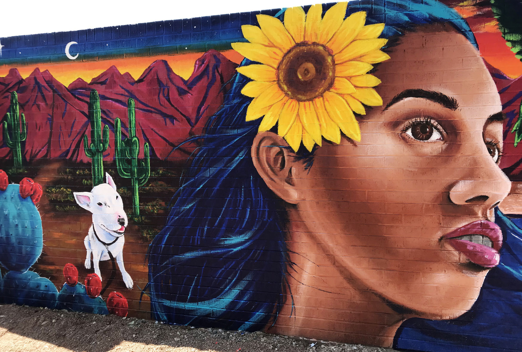 Palo Verde Pool mural
